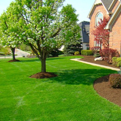 Professional Lawn Care and Landscaping near me Oswego, Illinois