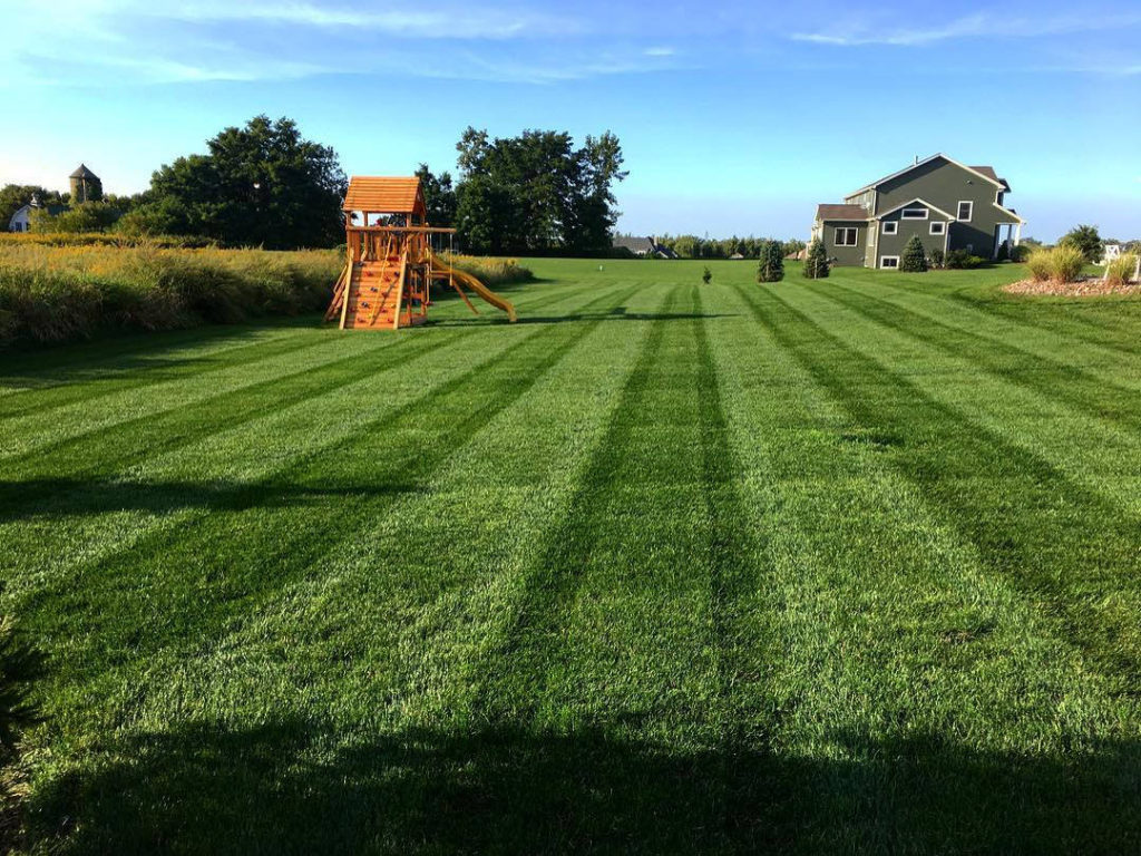 Lawn Mowing - Lawn Cutting Service in Aurora - Plainfield - Naperville