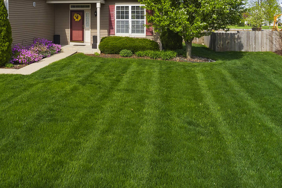 Mowing service in. Plainfield, Illinois 60586