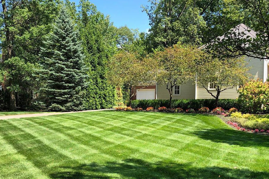 Lawn mowing stripes in residential property.